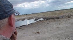 Waiting by the water hole to view Game as it comes down for water