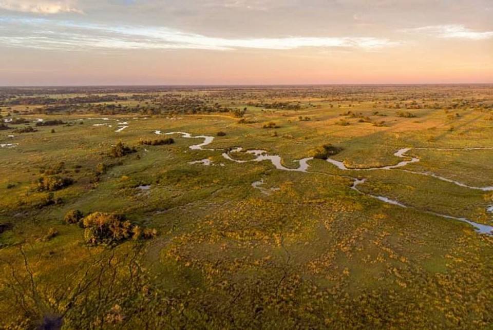 Okavango  delta