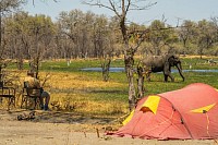 Camping in kumaga in makgadikgadi salt pans